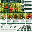 Set 20 suporti/araci pentru plante, rosii, metal + PVC, verde, 1.1x180 cm (211789SP)