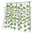 Ansamblu suport araci pentru cresterea plantelor cataratoare, fasole, mazare, 180x180x1.1 cm (147934)