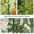 Suport/arac pentru plante, rosii, metal + PVC, 75x1.1 cm, verde (211775)