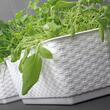 Dekoratív virágtartó, Prosperplast, rattan utánzat, fehér, 49,2x17,2x17,4 cm