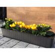 Jardiniera Ratolla case P, antracit,(set 2 buc) 68.5 x 17.3 x 15 cm (ISR700P-S433-S2)