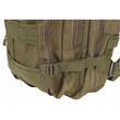 Taktikai táska/hátizsák, Trizand, 5 rekeszes, poliészter 600D, zöld, 35 L, 37x29x55 cm