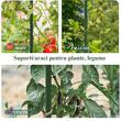 Set 20 suporti/araci pentru plante, rosii, metal + PVC, verde, 1.6x180 cm (211885SP)