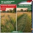 Kovácsolt 600 mm-es kasza - Strend Pro