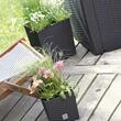 Virágcserepek, Prosperplast, Rato Low, négyzet, rattan utánzat, antracit, 22,3x22,3x22,8 cm
