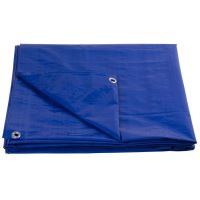Strend Pro Kék ponyva PE 80g / m2 - gyűrűvel 12 nm (3x4)